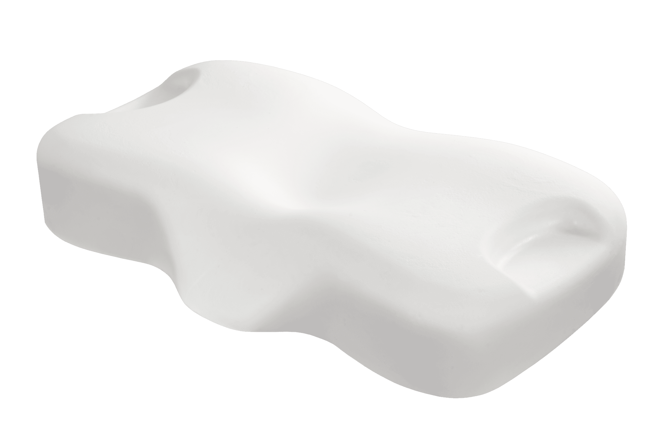 The Lotus Beauty Pillow